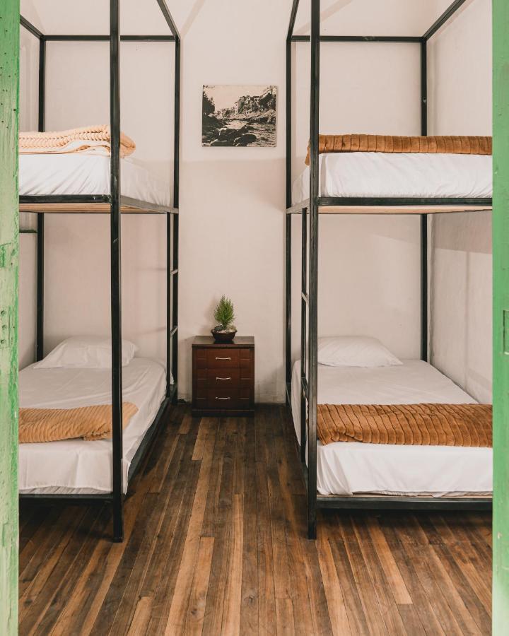 Wild Monkey Hostel Cuenca Exterior foto